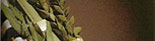 Lulav